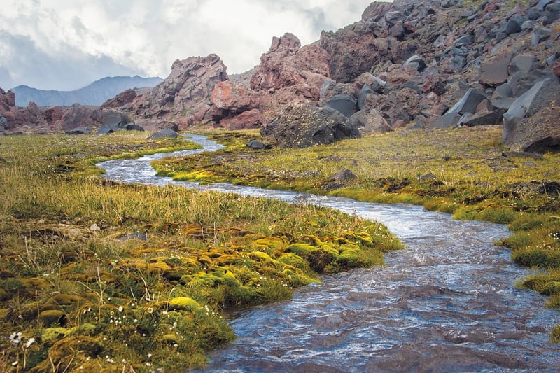 Hiking in the wilderness